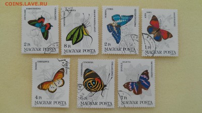 Марки Венгрии - Бабочки 1984 г. до 23.04.2015 г. - Венгрия - бабочки