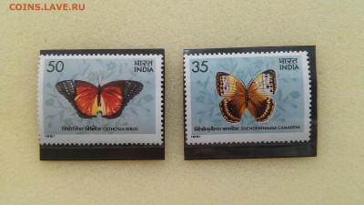 Марки Индии - Бабочки 1981 г., чистые до 23.04.2015 г. - Индия - бабочки