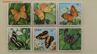 Марки Кубы - Бабочки 1982 г. до 23.04.2015 г. - Куба - бабочки
