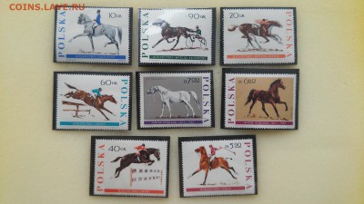 Марки Польши - Лошади 1967 г., чистые до 23.04.2015 г. - Польша - лошади
