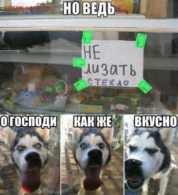 делает - прямо сейчас !!! - image
