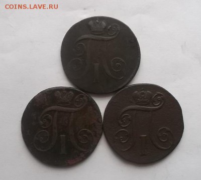 2к Павла 1-3шт. - DSCF7137.JPG