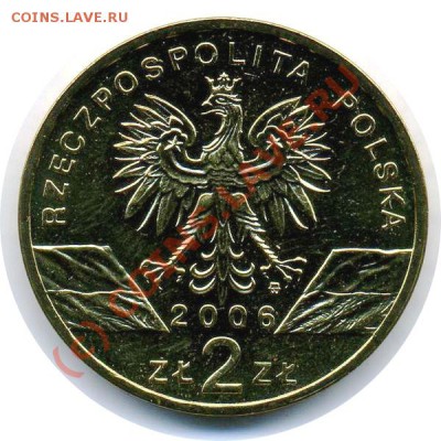 Польша 2злот 2006 Сурок 29.06 21.00 - 988 - 2 злот 2006 Сурок-2