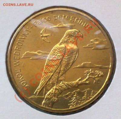 Польша 2 злотых 2008 Сокол 29.06 21.00 - Польша 2008 Сокол-1