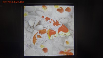 Испытания бытовых светодиодных ламп - DSC05185.JPG
