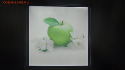 Испытания бытовых светодиодных ламп - DSC05184.JPG