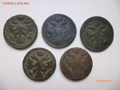 Деньга 1731.36.37.39.41 - P1120226.JPG