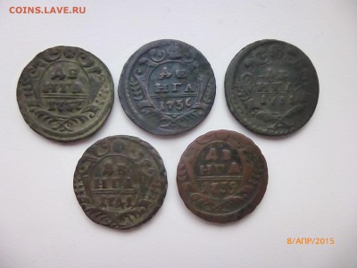 Деньга 1731.36.37.39.41 - P1120225.JPG