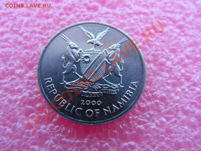 -зверьё-Намибия- 5 цент 2000 -- 29 июня 21-00 - PICT0735.JPG