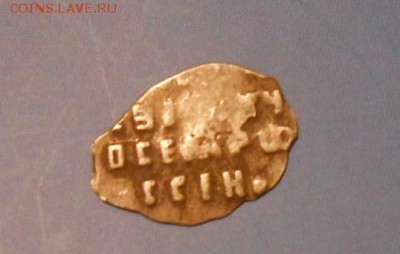 Чешуйка Петра,определение и оценка - 024.JPG