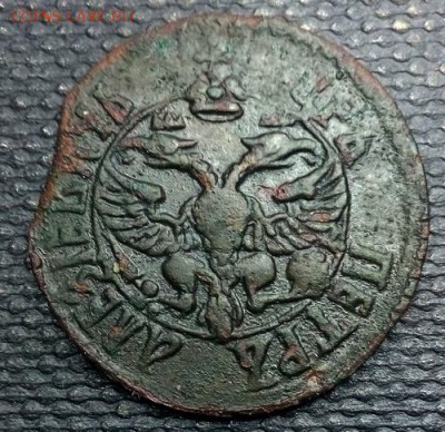 Полушка 1701 - 6820886