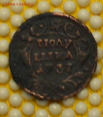 полушка 1737г.Анна. ав.45гр.от рев.до22.04.15г. - DSCN0573.JPG