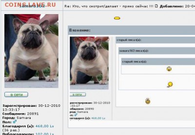 делает - прямо сейчас !!! - a334db7819