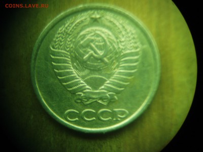 Б что с солнцем? - P1010014.JPG