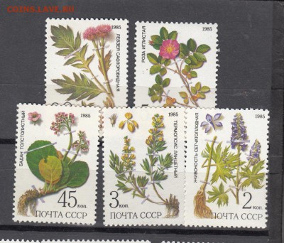 марки СССр флора 1985 - 55
