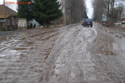 Прошу оказать помощь по шипам - велиж1