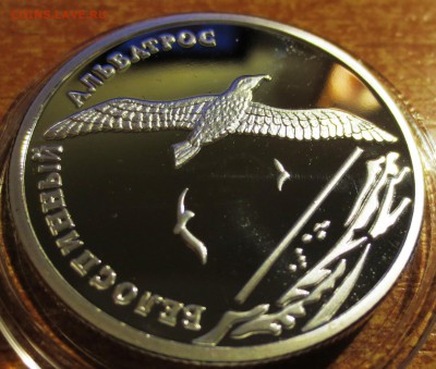2 рубля 2010 Олень,Гюрза ,Альбатрос -3 шт - IMG_3633.JPG