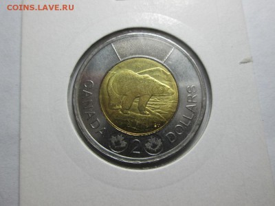 Медведь. Канада 2 доллара. Биметалл. до 21.04.15 22.00 - IMG_5665а
