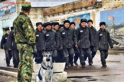 Ну а теперь про Украину - 3 cvc 443