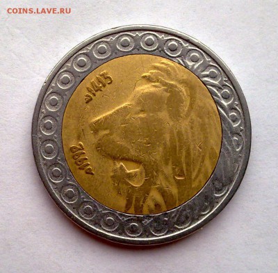 БИМ - Алжир 20 динаров 1993 Барбарийский лев (фикс) - 040220159956