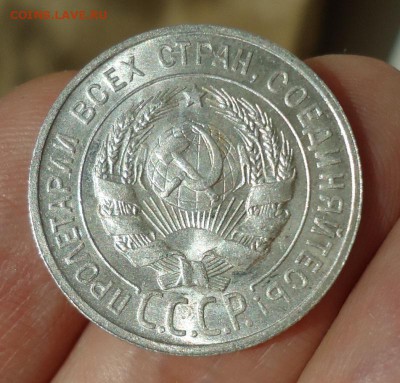 20 копеек 1929 на оценку - DSC04815.JPG