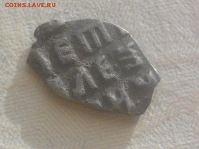 Чешуйка, пожалуйста, атребутируйте - IMGP6526.JPG