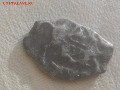Чешуйка, пожалуйста, атребутируйте - IMGP6528.JPG