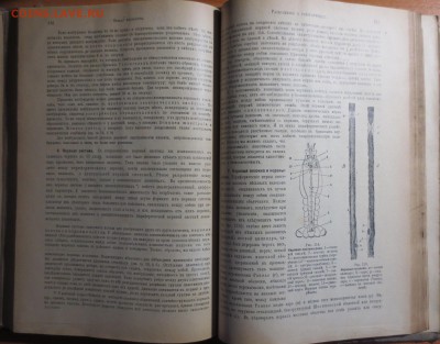 Книга: "Общая физиология"--Розенталь И. 1902 год - IMG_3706.JPG