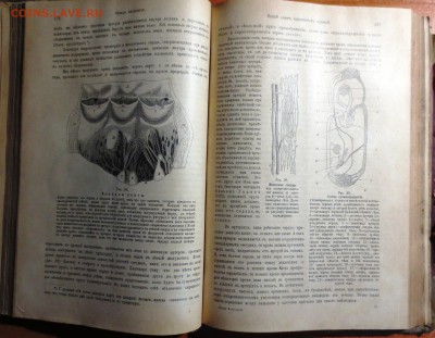 Книга: "Общая физиология"--Розенталь И. 1902 год - IMG_3705.JPG