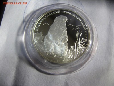2 руб.Прибайкальский Черношапочный сурок 25,04,15  22-00 - IMG_6285.JPG