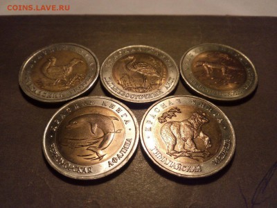 красная книга 1993г  5 монет до 24. 04. 15 - image-3387eba195dd5424f81caaba8d7d008954cc693ddc083faa36d6927d0dd9b72d-V