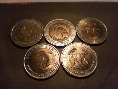 красная книга 1993г  5 монет до 24. 04. 15 - image-b6d59b4c1c9a8dc09ecb593bc5137ba3b8d703032561f784cf5da3a6b91397d6-V