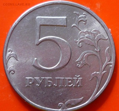 5р - P1120867.JPG