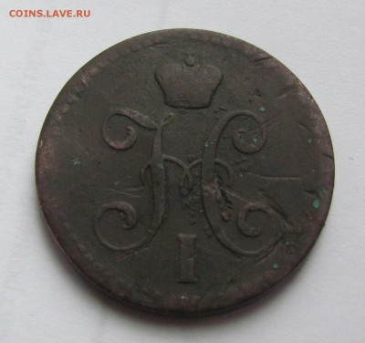 2 копейки Н1 рукоблуд под инкуз. - IMG_2680.JPG