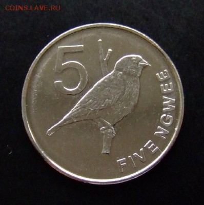 4 - Замбия 5 нгве (2012) «Птица» Р