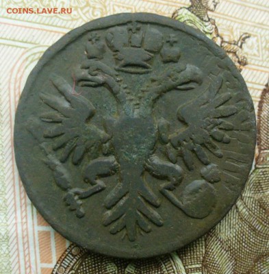 Денга 1731 на оценку - денга 1731-08 (4).JPG
