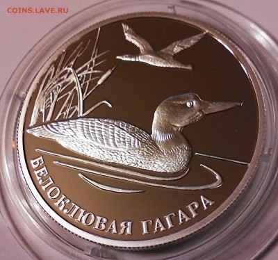 К.К. серебро, 2 рубля 2012г, белоклювая гагара. - IMG_20150424_200903