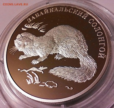 К.К. серебро, 2 рубля 2012г, забайкальский солонгой. - IMG_20150424_200724