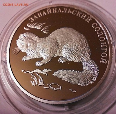 К.К. серебро, 2 рубля 2012г, забайкальский солонгой. - IMG_20150424_200700