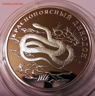 К.К. серебро, 1 рубль 2007г, краснопоясный динодон. - IMG_20150424_195837