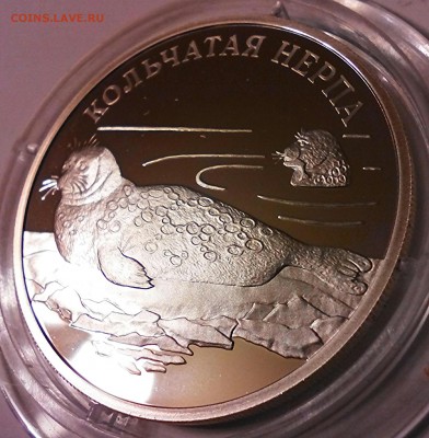К.К. серебро, 1 рубль 2007г, кольчатая нерпа. - IMG_20150424_195726