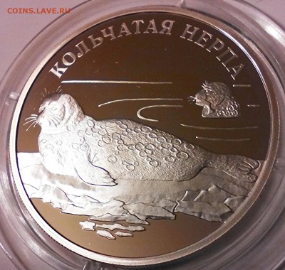 К.К. серебро, 1 рубль 2007г, кольчатая нерпа. - IMG_20150424_195648