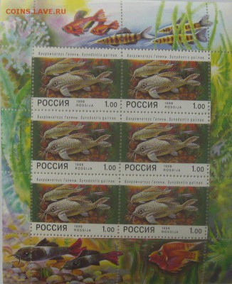 Малые листы России. - 139567