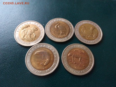 КРАСНАЯ КНИГА 1993 ГОДА   22.00 27.04.15 - image-6ca43683436e46a8c8baed26523832b2403c862cf514212e00ae90ca88531372-V