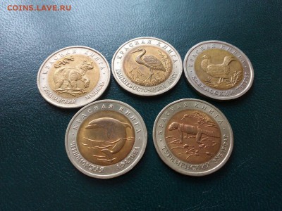 КРАСНАЯ КНИГА 1993 ГОДА   22.00 27.04.15 - image-417b5f121df5e3be4b5c6d0afbfba455d9e0e40a80e527aec6e596815f05694f-V