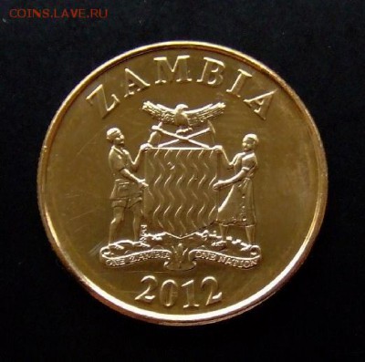 4 - Замбия 50 нгве (2012) «Слон» А
