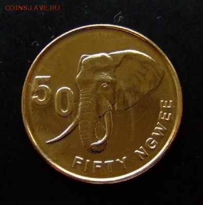 4 - Замбия 50 нгве (2012) «Слон» Р