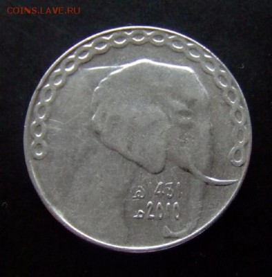 4 - Алжир 5 динар (2010) «Слон» А
