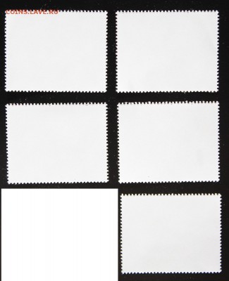 Sharjah. Fujeira. Ajman. Собаки. до 02.05.15 - IMG_2675.JPG