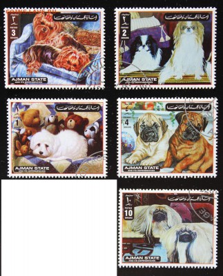 Sharjah. Fujeira. Ajman. Собаки. до 02.05.15 - IMG_2674.JPG